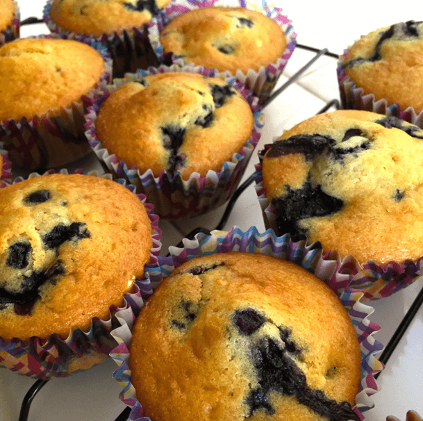 easy egg free blueberry muffin recipe